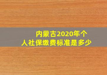 内蒙古2020年个人社保缴费标准是多少