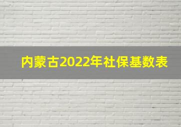 内蒙古2022年社保基数表