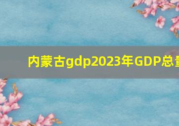 内蒙古gdp2023年GDP总量