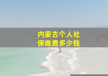 内蒙古个人社保缴费多少钱