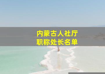 内蒙古人社厅职称处长名单