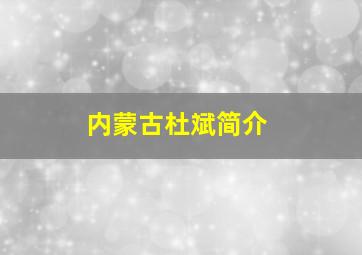 内蒙古杜斌简介