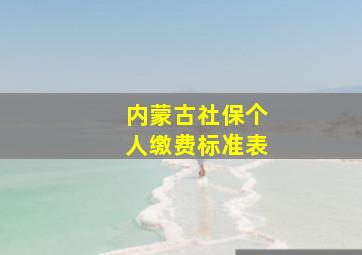 内蒙古社保个人缴费标准表