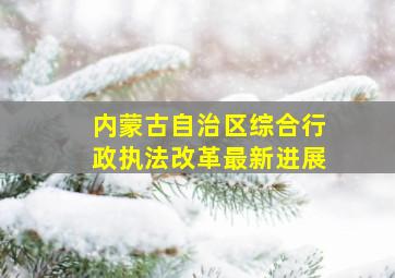 内蒙古自治区综合行政执法改革最新进展