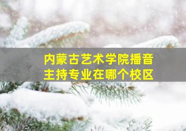 内蒙古艺术学院播音主持专业在哪个校区