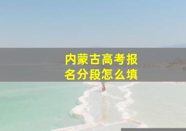 内蒙古高考报名分段怎么填