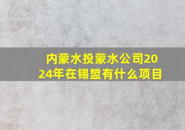 内蒙水投蒙水公司2024年在锡盟有什么项目