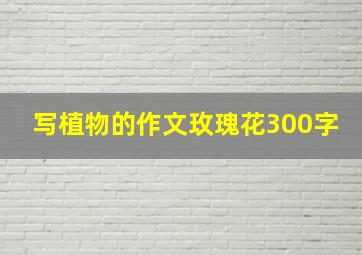 写植物的作文玫瑰花300字