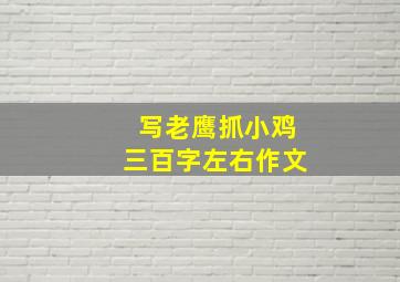 写老鹰抓小鸡三百字左右作文