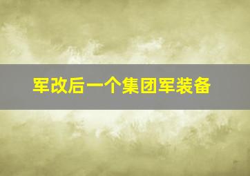 军改后一个集团军装备