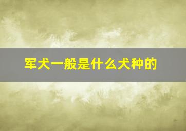 军犬一般是什么犬种的