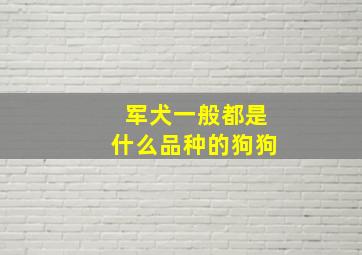 军犬一般都是什么品种的狗狗