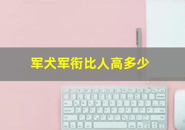 军犬军衔比人高多少