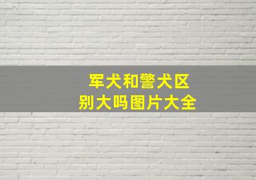 军犬和警犬区别大吗图片大全