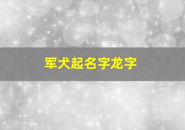 军犬起名字龙字