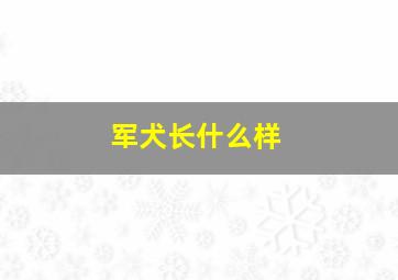 军犬长什么样