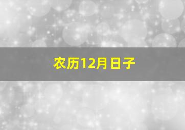 农历12月日子