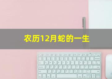 农历12月蛇的一生