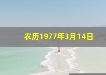 农历1977年3月14日