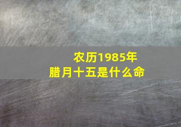 农历1985年腊月十五是什么命