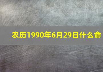 农历1990年6月29日什么命