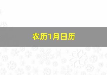 农历1月日历