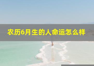 农历6月生的人命运怎么样