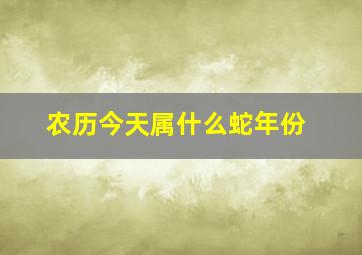 农历今天属什么蛇年份