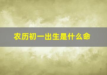 农历初一出生是什么命