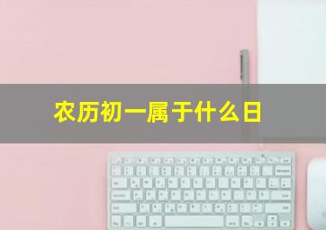 农历初一属于什么日