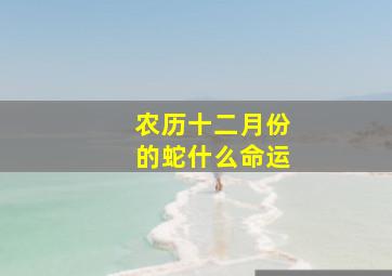 农历十二月份的蛇什么命运