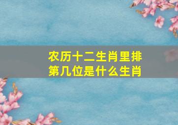 农历十二生肖里排第几位是什么生肖