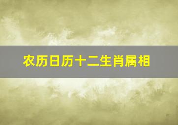 农历日历十二生肖属相