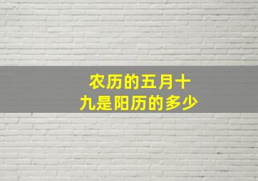 农历的五月十九是阳历的多少