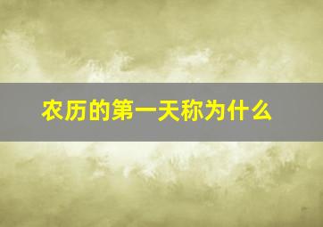 农历的第一天称为什么