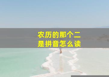 农历的那个二是拼音怎么读