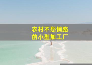 农村不愁销路的小型加工厂