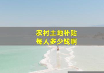 农村土地补贴每人多少钱啊