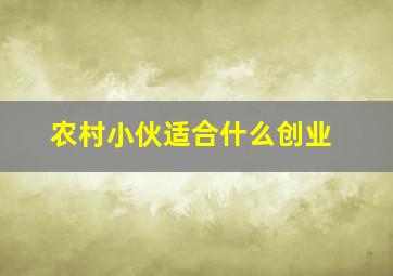 农村小伙适合什么创业