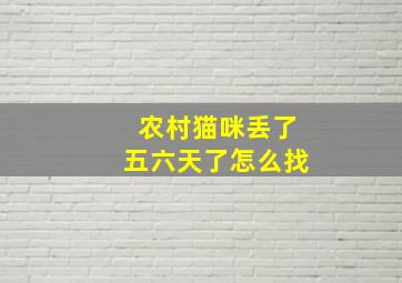 农村猫咪丢了五六天了怎么找