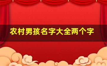 农村男孩名字大全两个字