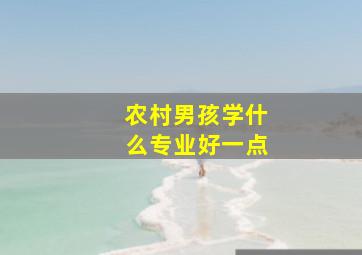 农村男孩学什么专业好一点