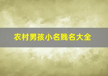 农村男孩小名贱名大全