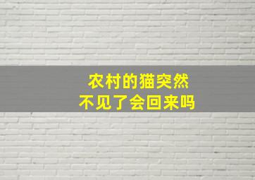 农村的猫突然不见了会回来吗