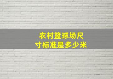 农村篮球场尺寸标准是多少米