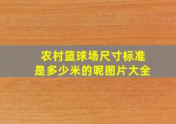 农村篮球场尺寸标准是多少米的呢图片大全