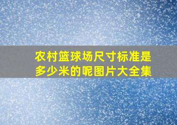 农村篮球场尺寸标准是多少米的呢图片大全集