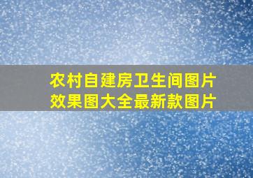 农村自建房卫生间图片效果图大全最新款图片