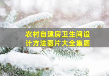 农村自建房卫生间设计方法图片大全集图