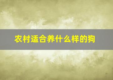 农村适合养什么样的狗